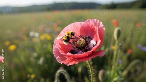 Summer Bloom and Visitor