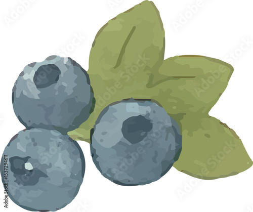 Tiny blue blueberry, rich in antioxidants and flavor, perfect for enhancing fresh smoothies with a burst of color and health benefits, ideal for a nutritious diet