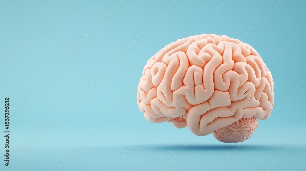 Realistic human brain model isolated on blue background showcasing intricate neural connections and structures in a vibrant setting Realistic human brain model isolated on blue background showcasing intricate neural connections and structures in a vibrant setting