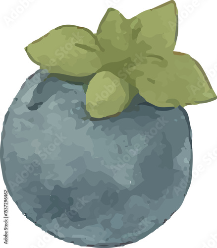 Tiny blue blueberry, rich in antioxidants and flavor, perfect for enhancing fresh smoothies with a burst of color and health benefits, ideal for a nutritious diet