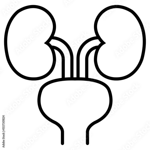 Urinary system icon Thin line vector design