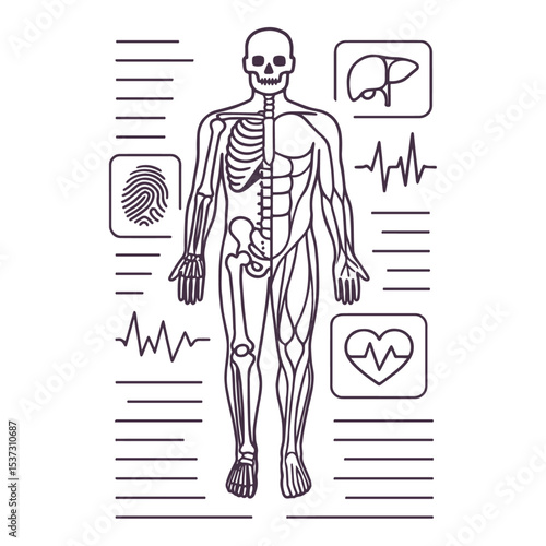 Futuristic Medical Body Scan Vector with Biometrics and Vitals