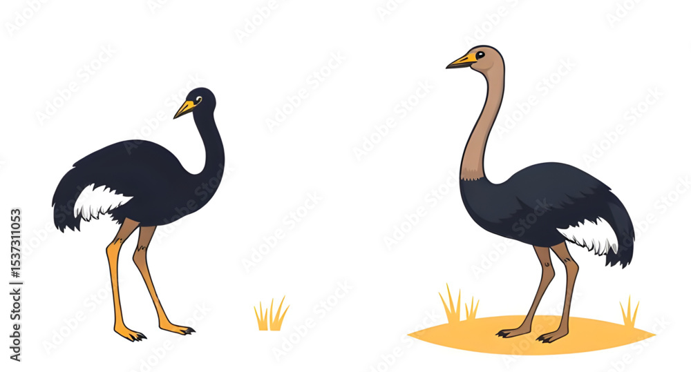 Naklejka premium Ostrich icon, Ostrich vector, Big bird, Flightless bird, Ostrich silhouette, Ostrich outline, Running ostrich, Fast bird, Ostrich illustration, Cartoon ostrich, Cute ostrich, Ostrich with long neck, O