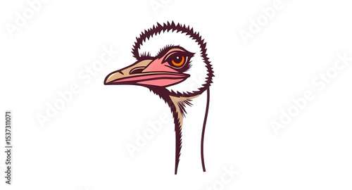 Ostrich icon, Ostrich vector, Big bird, Flightless bird, Ostrich silhouette, Ostrich outline, Running ostrich, Fast bird, Ostrich illustration, Cartoon ostrich, Cute ostrich, Ostrich with long neck, O