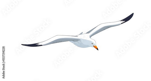 Seagull icon, Seagull vector, Bird icon, Sea bird icon, Flying seagull, Coastal bird, Ocean bird, Beach bird icon, Seagull silhouette, Seagull outline, Flat seagull icon, Minimal seagull icon, Seagull