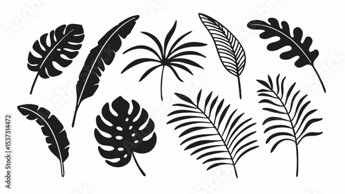 Palm leaf icon, tropical plant, banana tree, jungle leaves, exotic fern. Cartoon summer foliage, botanical set, simple black silhouettes isolated on white background. Hawaiian vector illustration

