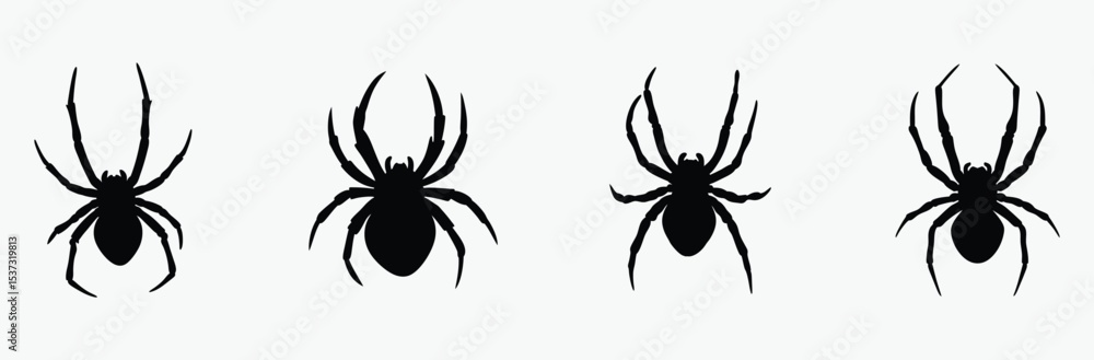 black spider silhouette, halloween decoration, creepy insect vector, Silhouettes of black spider, Halloween decorations, Vector collection of spider black spider silhouette, halloween decoration, creepy insect vector, Silhouettes of black spider, Halloween decorations, Vector collection of spider
