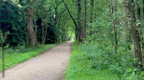 The path passes through dense forest and wildlife