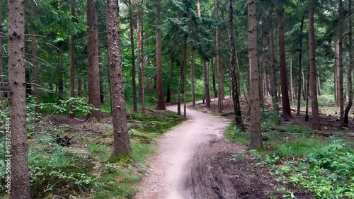 The path passes through dense forest and wildlife
