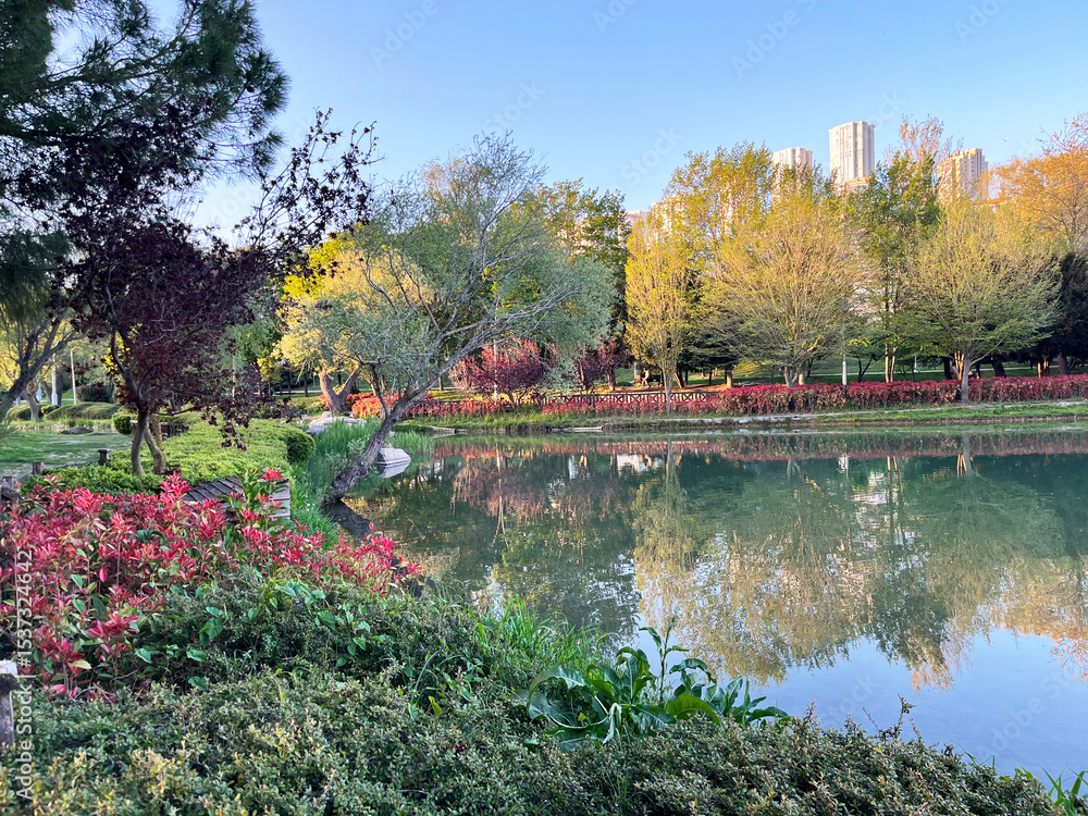 Fototapeta premium Beautiful lake park view in Istanbul, Turkey. 