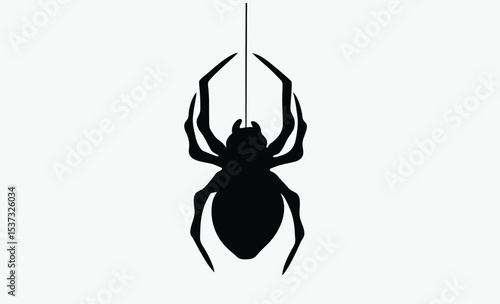 Spider hanging silhouette, halloween web vector, creepy insect icon, Silhouette of a spider hanging from a web, halloween vector 