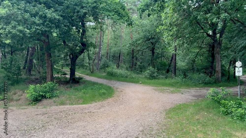 The path passes through dense forest and wildlife