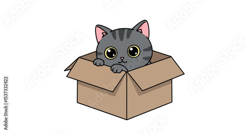 Adorable kitten peeking from cardboard box - cute and playful pet illustration vector illustration