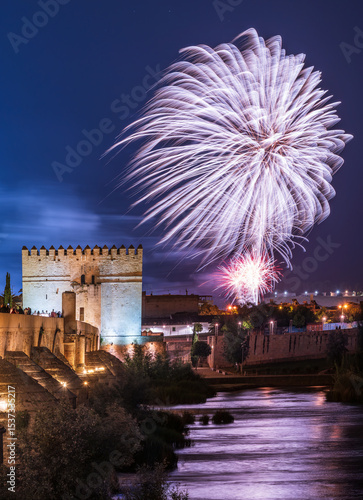 firework fuegos artificiales torre tower bridge city landscape