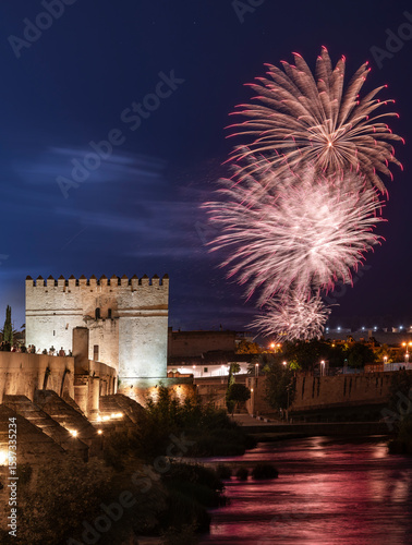 firework fuegos artificiales torre tower bridge city landscape