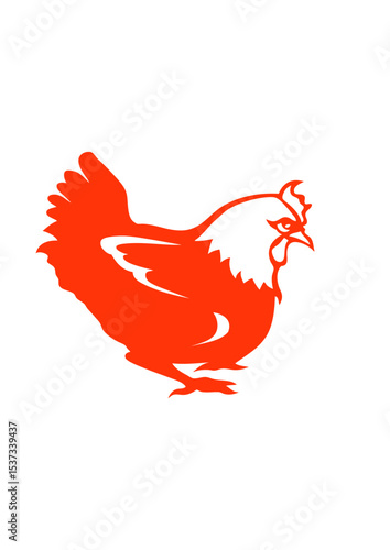 poule dessin