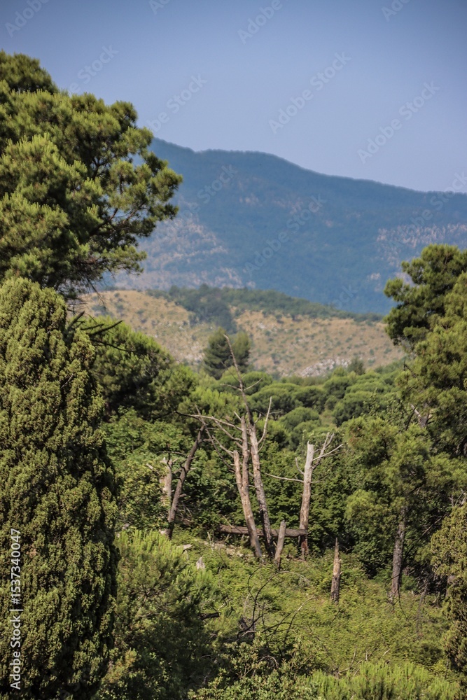 Obraz premium Scatti Vari