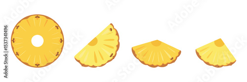 Pineapple Slices Illustration Round Slice and Quarter Slices in a Row on a White Background for Food and Drink Themes