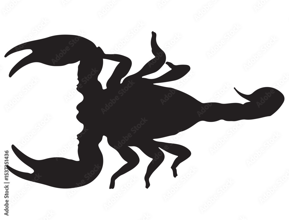 Fototapeta premium SCORPION SILHOUETTE