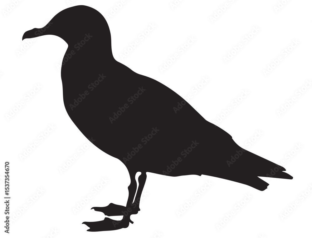 Obraz premium SEA GULL SILHOUETTE