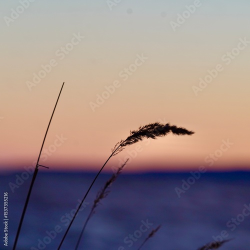 fishing at sunset