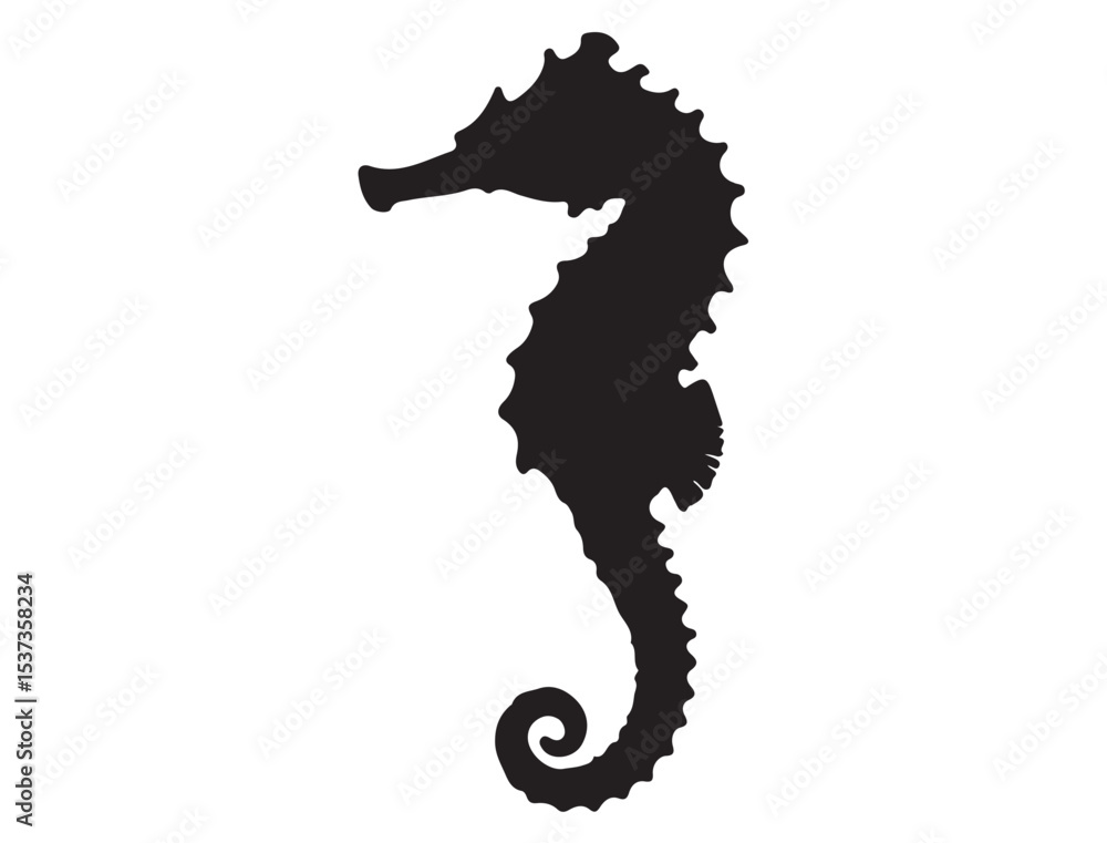 Fototapeta premium SEAHORSE SILHOUETTE