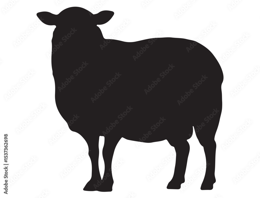 Fototapeta premium SHEEP SILHOUETTE