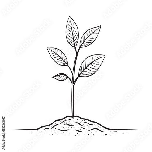 "Roots of Renewal: Growth Through Sustainability"