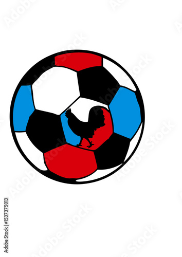 ballon de football France coq embleme