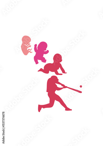 evolution homme humain sport baseball batteur