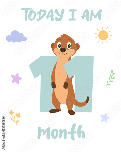 Wallpaper Mural Baby milestone 11 months with cute meerkat. Today I am eleven months illustration. Monthly animal milestone card. Torontodigital.ca