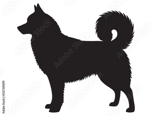 Photos SIBERIAN HUSKY SILHOUETTE