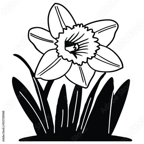 realistic jasmine flower artwork