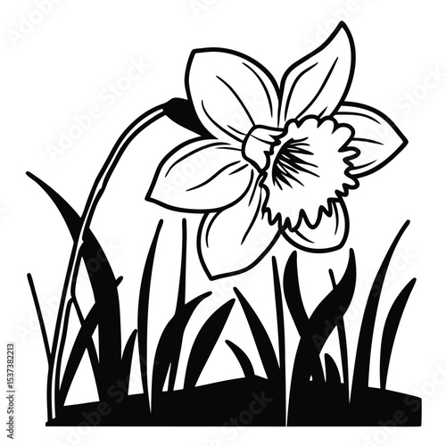 botanical flower vector composition