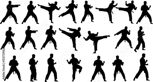 Dynamic black silhouettes showcase diverse martial arts poses for athleticism and self defense against a clean white background.