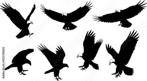 Graceful eagles in flight feature seven dynamic black silhouettes against a plain white background, ideal for symbolic designs.