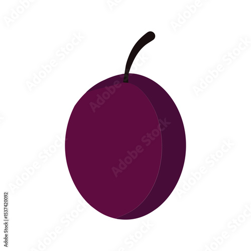 Davidson plum dark fruit with tart flavor in flat minimal art color vector illustration