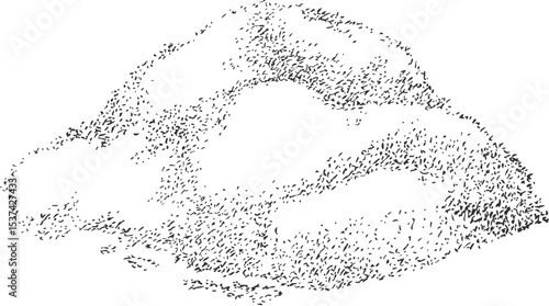 Monochrome illustration of maca root powder, hand drawn.