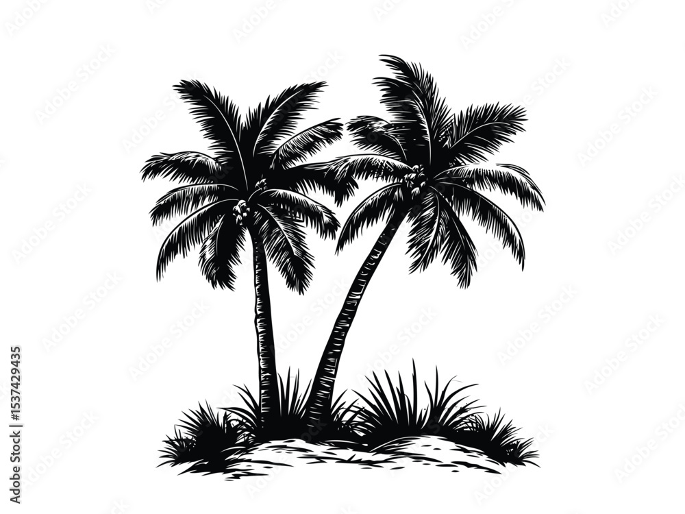Obraz premium Black and White Palm Tree Illustration for Summer Vacation