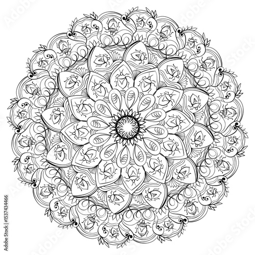 Outline doodle mandala with bugs and swirls, creative coloring page for kids or adult activity