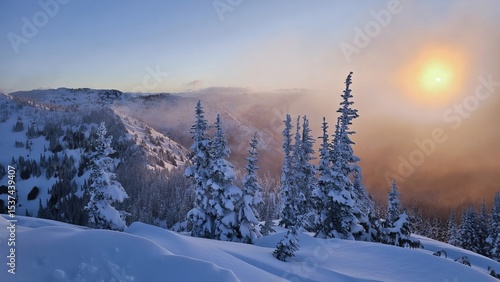 Wallpaper Mural Snow covered trees on a mountain slope with a bright sun and a hazy sky in the winter season view Torontodigital.ca