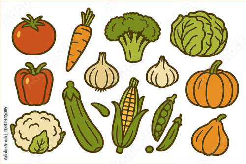 Vector illustrations of fresh vegetables from a farm, including isolated images of tomatoes, carrots, broccoli, cabbage, peppers, onions, garlic, radishes, cauliflower, zucchini, corn, peas, and