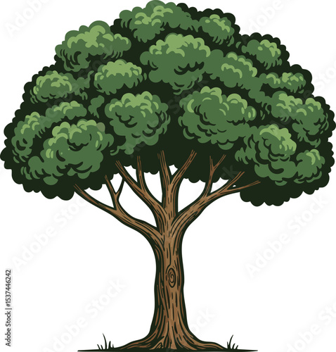 Large green leafy tree with sturdy brown trunk vector illustration natural flora design 