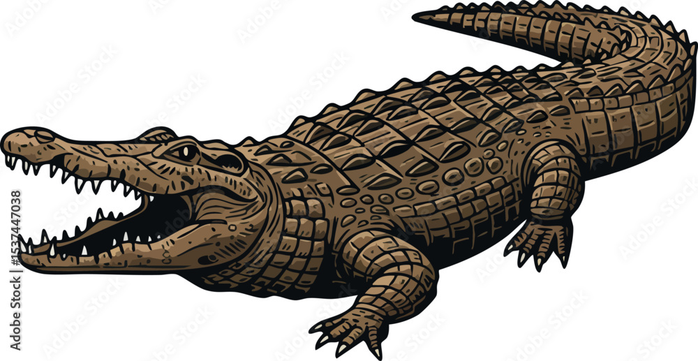 Fototapeta premium Crocodile reptile animal with open mouth detailed natural brown skin texture vector illustration 