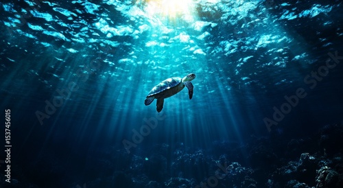 Majestic Turtle Swimming Gracefully in Crystal Clear Ocean Waters Beneath Sun...