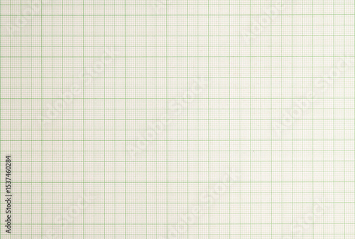 Green grid on white graph paper background
