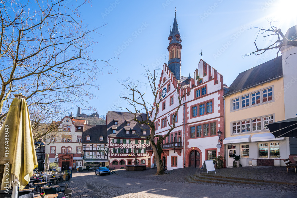 Fototapeta premium Altstadt, Weinheim, Baden Wuerttemberg, Deutschland 