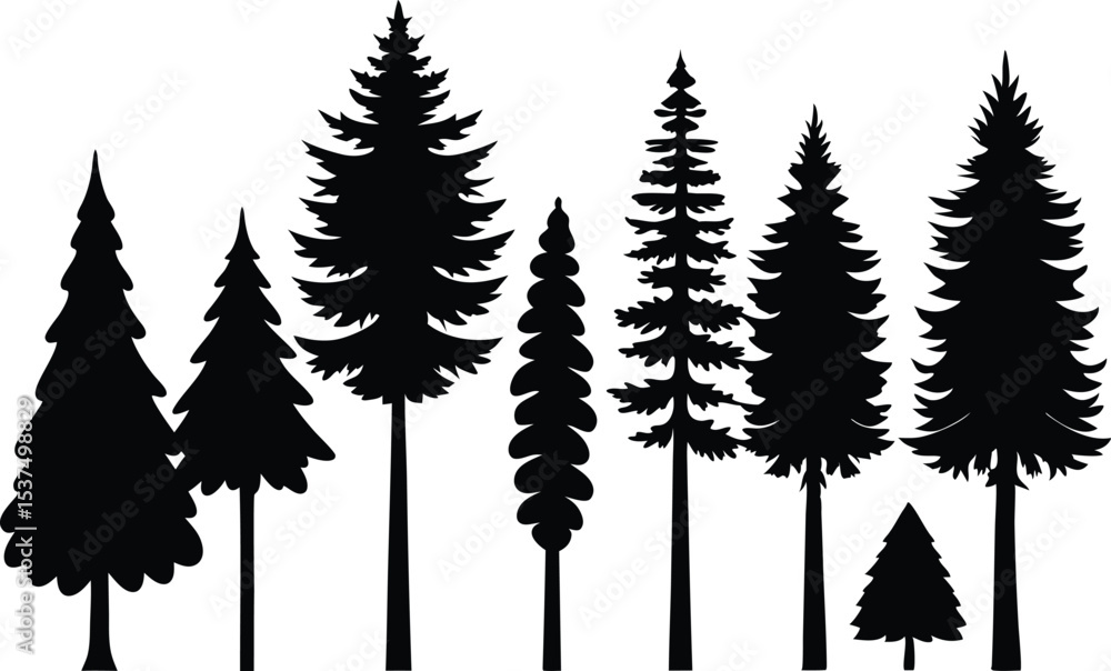 Fototapeta premium Silhouettes of evergreen trees in a forest setting