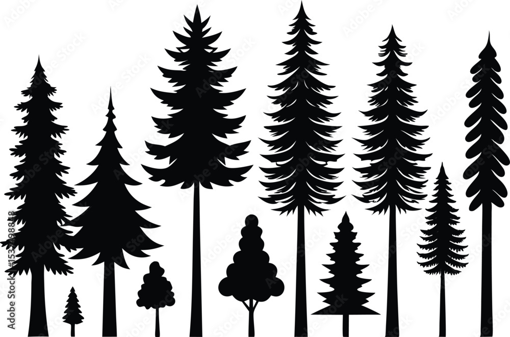 Obraz premium Silhouettes of evergreen trees in a forest setting