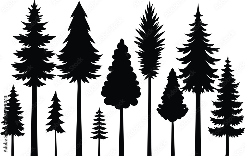 Obraz premium Silhouettes of evergreen trees in a forest setting